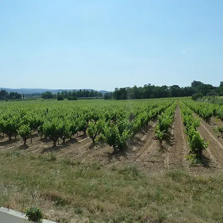 La Vigne *